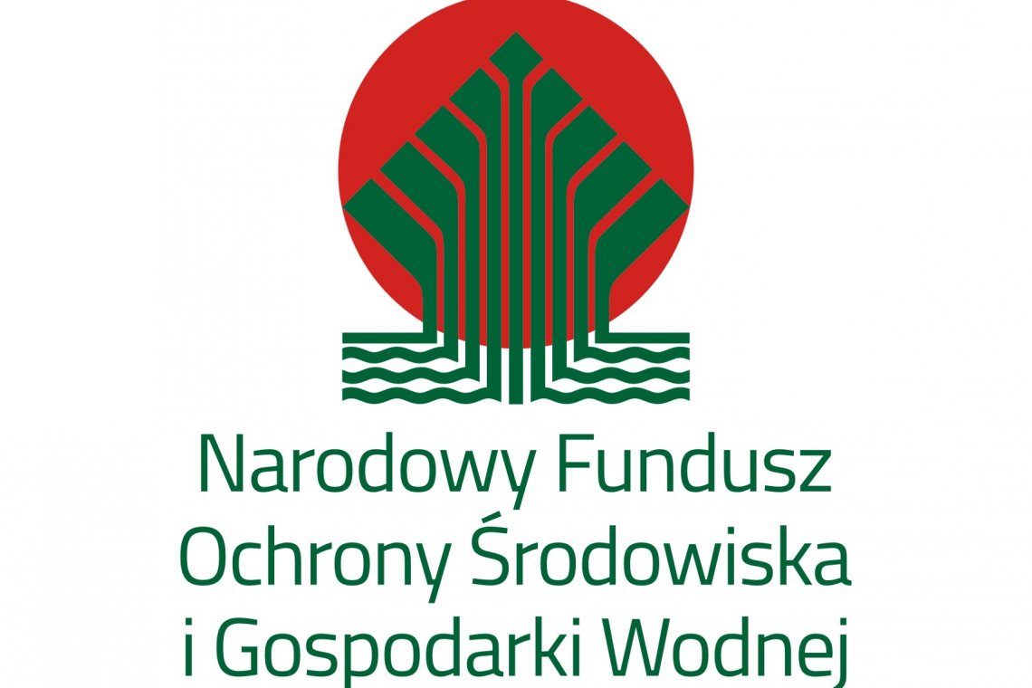 Strategia Rozwoju Elektromobilności dla Powiatu Wejherowskiego do roku 2035